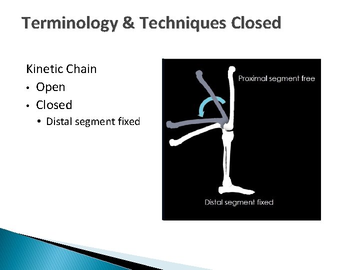 Terminology & Techniques Closed Kinetic Chain • Open • Closed • Distal segment fixed