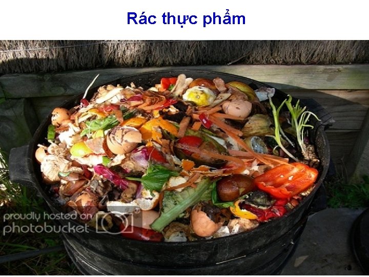 Rác thực phẩm 