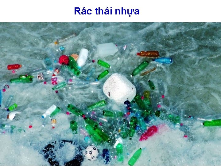 Rác thải nhựa 