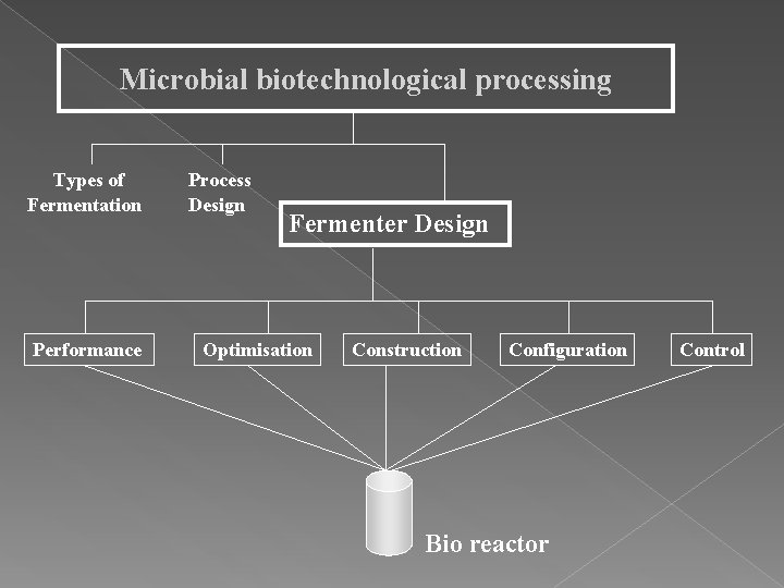 Microbial biotechnological processing Types of Fermentation Performance Process Design Fermenter Design Optimisation Construction Configuration