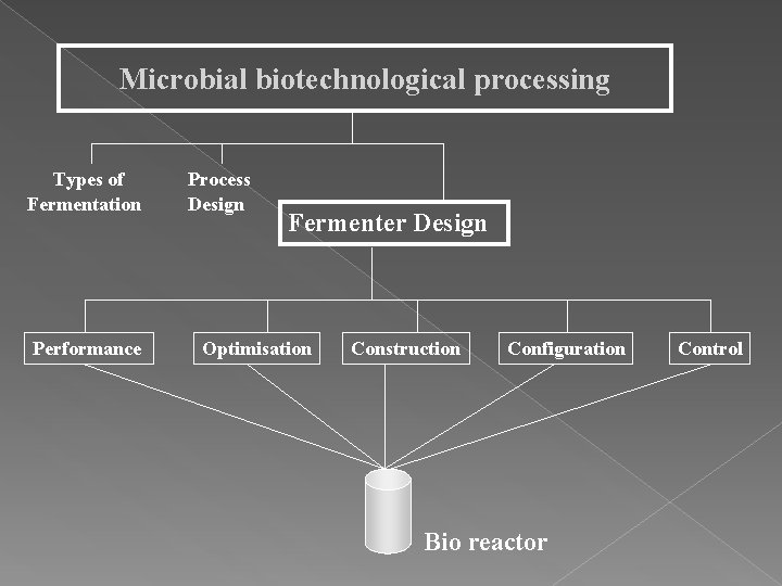 Microbial biotechnological processing Types of Fermentation Performance Process Design Fermenter Design Optimisation Construction Configuration