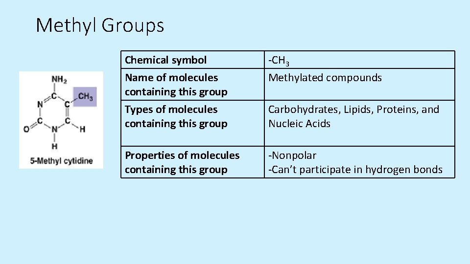 Methyl Groups Chemical symbol Name of molecules containing this group -CH 3 Methylated compounds Methyl Groups Chemical symbol Name of molecules containing this group -CH 3 Methylated compounds