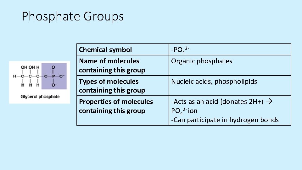 Phosphate Groups Chemical symbol Name of molecules containing this group -PO 42 Organic phosphates Phosphate Groups Chemical symbol Name of molecules containing this group -PO 42 Organic phosphates