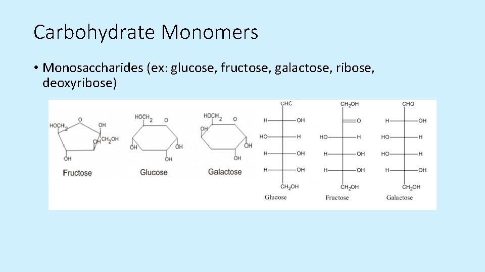 Carbohydrate Monomers • Monosaccharides (ex: glucose, fructose, galactose, ribose, deoxyribose)  Carbohydrate Monomers • Monosaccharides (ex: glucose, fructose, galactose, ribose, deoxyribose)