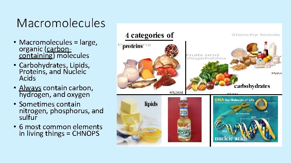 Macromolecules • Macromolecules = large, organic (carboncontaining) molecules • Carbohydrates, Lipids, Proteins, and Nucleic Macromolecules • Macromolecules = large, organic (carboncontaining) molecules • Carbohydrates, Lipids, Proteins, and Nucleic