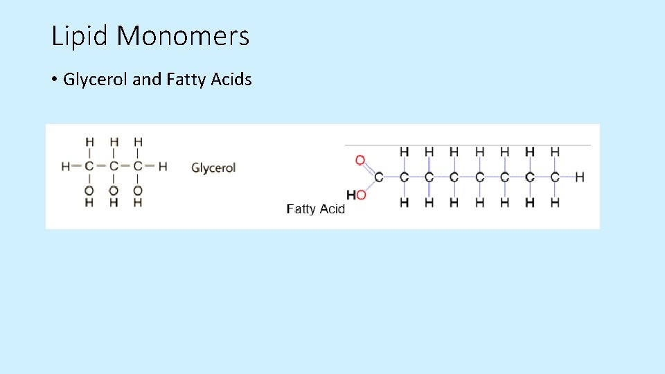 Lipid Monomers • Glycerol and Fatty Acids  Lipid Monomers • Glycerol and Fatty Acids