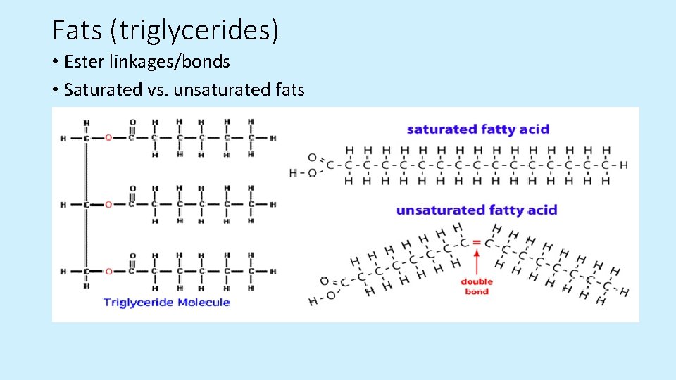 Fats (triglycerides) • Ester linkages/bonds • Saturated vs. unsaturated fats  Fats (triglycerides) • Ester linkages/bonds • Saturated vs. unsaturated fats
