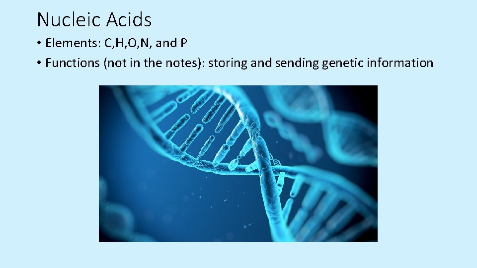 Nucleic Acids • Elements: C, H, O, N, and P • Functions (not in Nucleic Acids • Elements: C, H, O, N, and P • Functions (not in