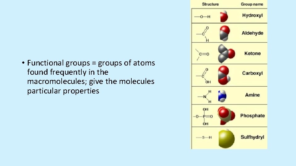 • Functional groups = groups of atoms found frequently in the macromolecules; give  • Functional groups = groups of atoms found frequently in the macromolecules; give