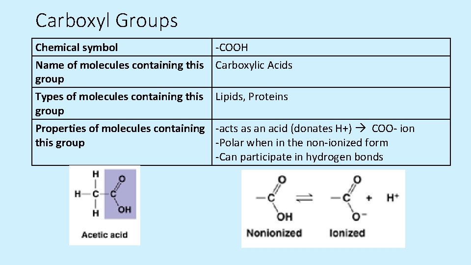 Carboxyl Groups Chemical symbol -COOH Name of molecules containing this Carboxylic Acids group Types Carboxyl Groups Chemical symbol -COOH Name of molecules containing this Carboxylic Acids group Types