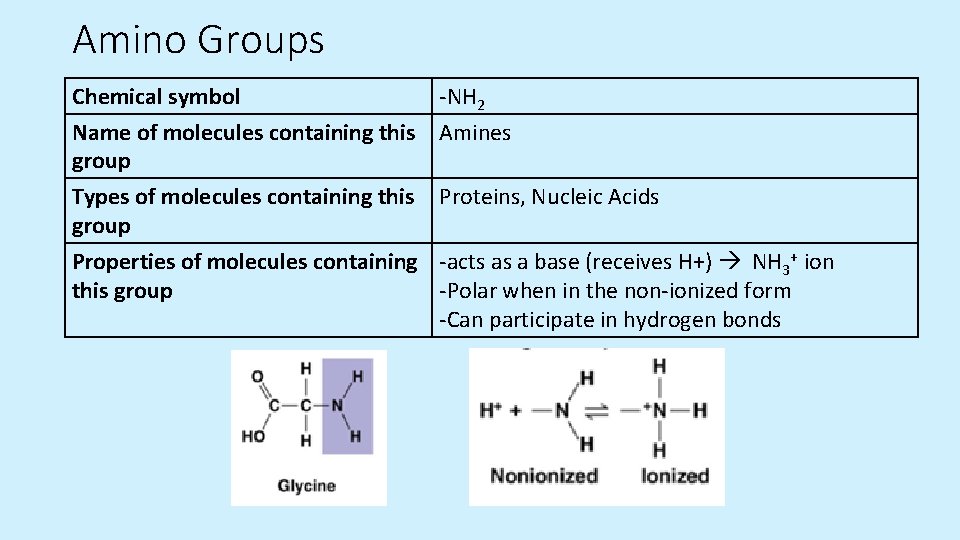 Amino Groups Chemical symbol -NH 2 Name of molecules containing this Amines group Types Amino Groups Chemical symbol -NH 2 Name of molecules containing this Amines group Types