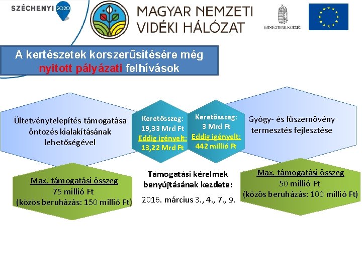 A kertészetek korszerűsítésére még nyitott pályázati felhívások Ültetvénytelepítés támogatása öntözés kialakításának lehetőségével Max. támogatási