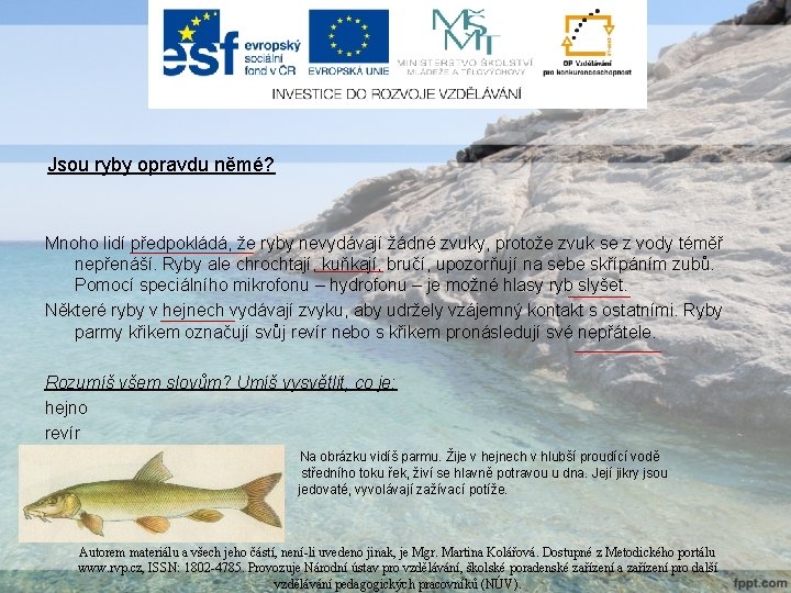 Jsou ryby opravdu němé? Mnoho lidí předpokládá, že ryby nevydávají žádné zvuky, protože zvuk Jsou ryby opravdu němé? Mnoho lidí předpokládá, že ryby nevydávají žádné zvuky, protože zvuk