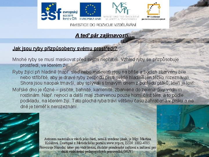 A teď pár zajímavostí…. Jak jsou ryby přizpůsobeny svému prostředí? Mnohé ryby se musí A teď pár zajímavostí…. Jak jsou ryby přizpůsobeny svému prostředí? Mnohé ryby se musí