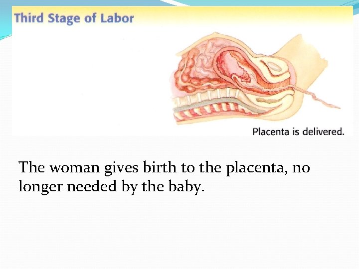 The woman gives birth to the placenta, no longer needed by the baby. 