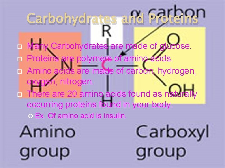 Carbohydrates and Proteins Many Carbohydrates are made of glucose. Proteins are polymers of amino Carbohydrates and Proteins Many Carbohydrates are made of glucose. Proteins are polymers of amino