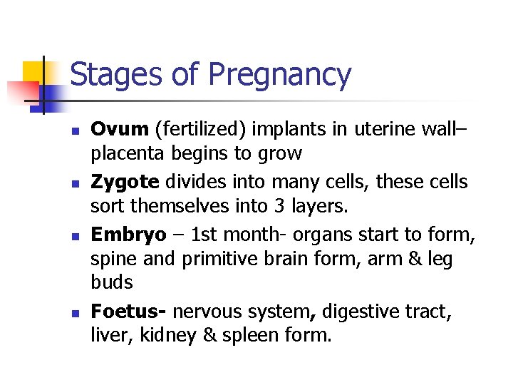 Stages of Pregnancy n n Ovum (fertilized) implants in uterine wall– placenta begins to