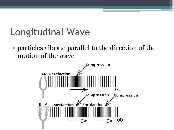 Longitudinal Wave • particles vibrate parallel to the direction of the motion of the