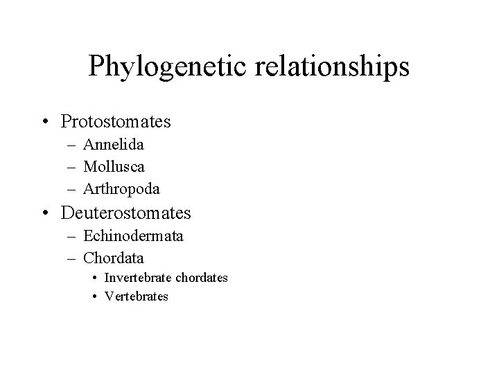 Phylogenetic relationships • Protostomates – Annelida – Mollusca – Arthropoda • Deuterostomates – Echinodermata
