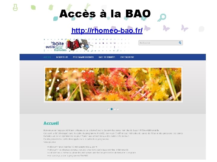 Accès à la BAO http: //rhomeo-bao. fr/ 