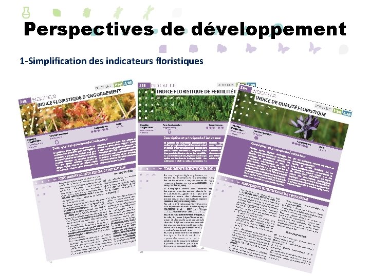 Perspectives de développement 1 -Simplification des indicateurs floristiques 