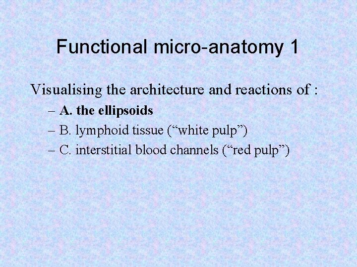 Functional micro-anatomy 1 Visualising the architecture and reactions of : – A. the ellipsoids