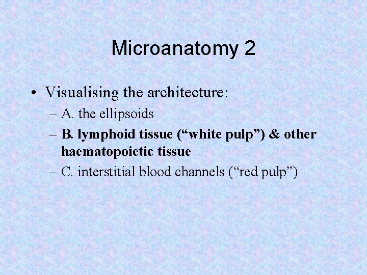 Microanatomy 2 • Visualising the architecture: – A. the ellipsoids – B. lymphoid tissue