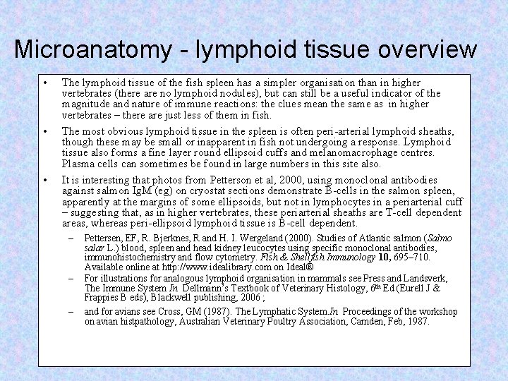 Microanatomy - lymphoid tissue overview • • • The lymphoid tissue of the fish