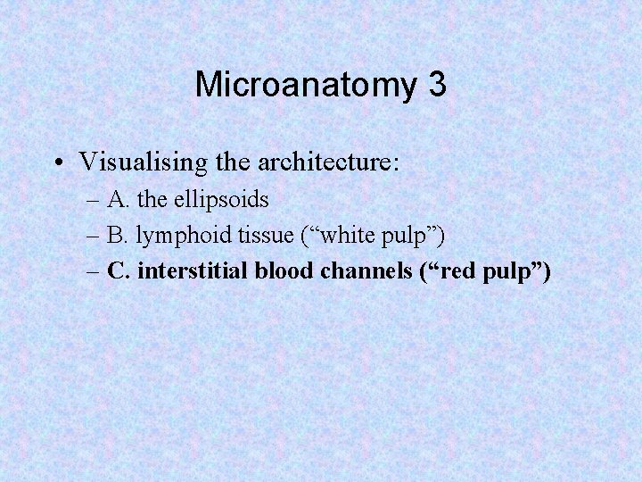 Microanatomy 3 • Visualising the architecture: – A. the ellipsoids – B. lymphoid tissue