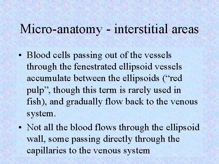 Micro-anatomy - interstitial areas • Blood cells passing out of the vessels through the
