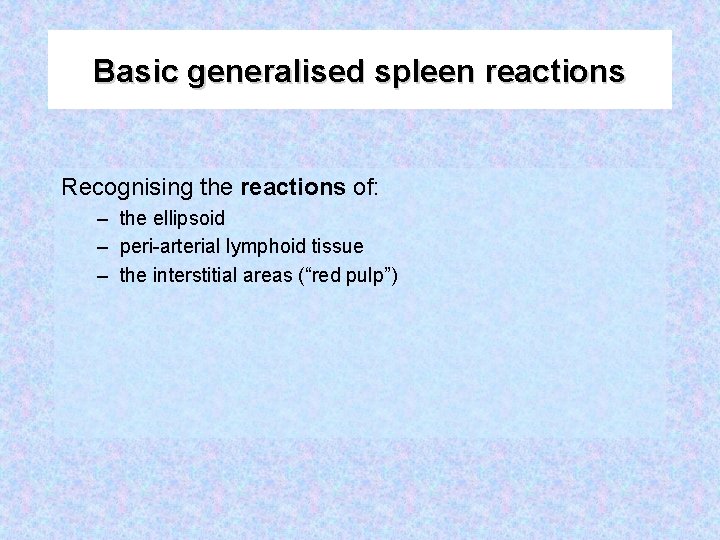 Basic generalised spleen reactions Recognising the reactions of: – the ellipsoid – peri-arterial lymphoid