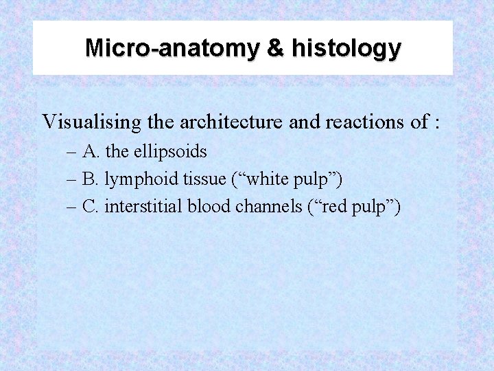 Micro-anatomy & histology Visualising the architecture and reactions of : – A. the ellipsoids