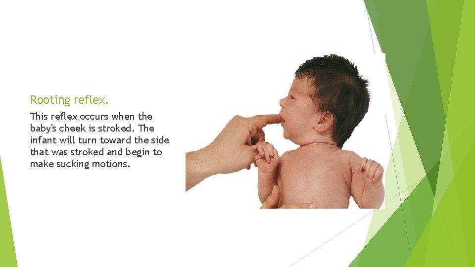 Rooting reflex. This reflex occurs when the baby's cheek is stroked. The infant will