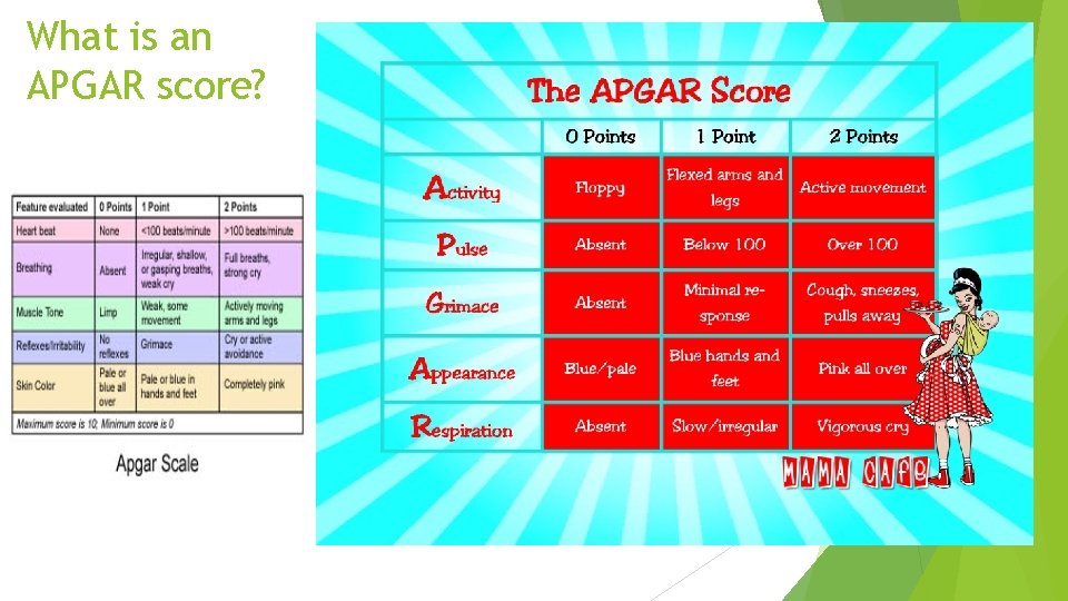 What is an APGAR score? 