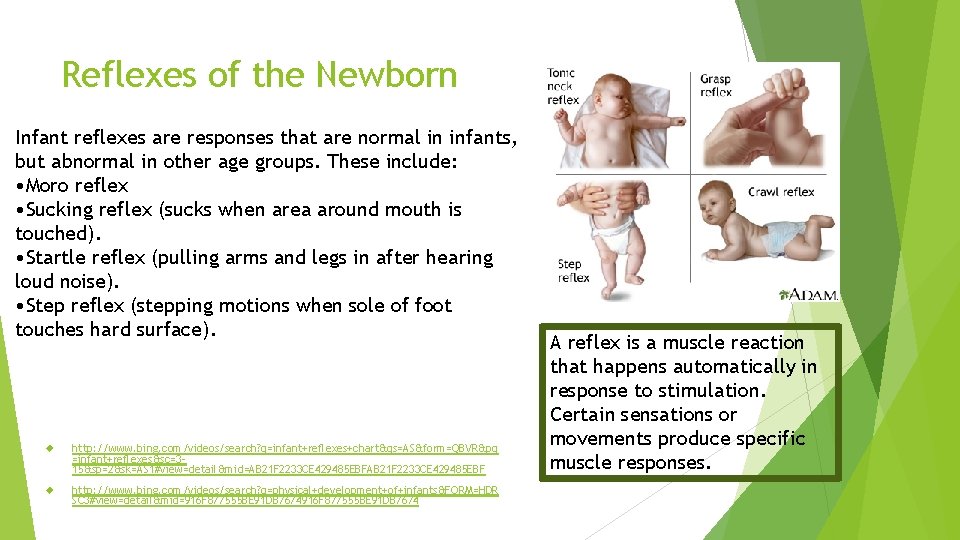 Reflexes of the Newborn Infant reflexes are responses that are normal in infants, but