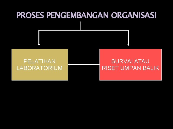 PROSES PENGEMBANGAN ORGANISASI PELATIHAN LABORATORIUM SURVAI ATAU RISET UMPAN BALIK 