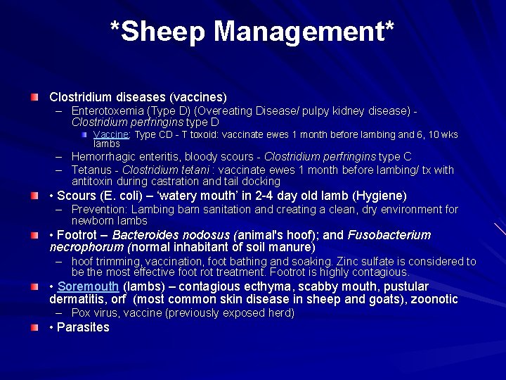 *Sheep Management* Clostridium diseases (vaccines) – Enterotoxemia (Type D) (Overeating Disease/ pulpy kidney disease)