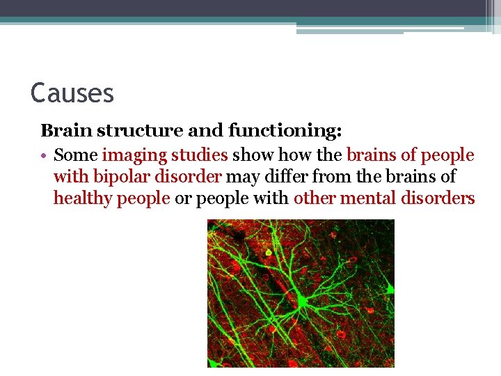 Causes Brain structure and functioning: • Some imaging studies show the brains of people