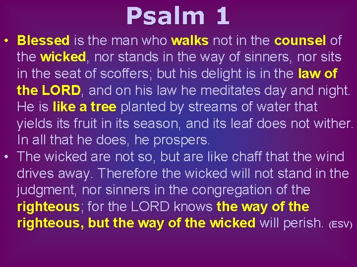 Psalm 1 • Blessed is the man who walks not in the counsel of
