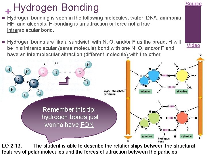 Hydrogen Bonding + n Hydrogen bonding is seen in the following molecules: water, DNA,