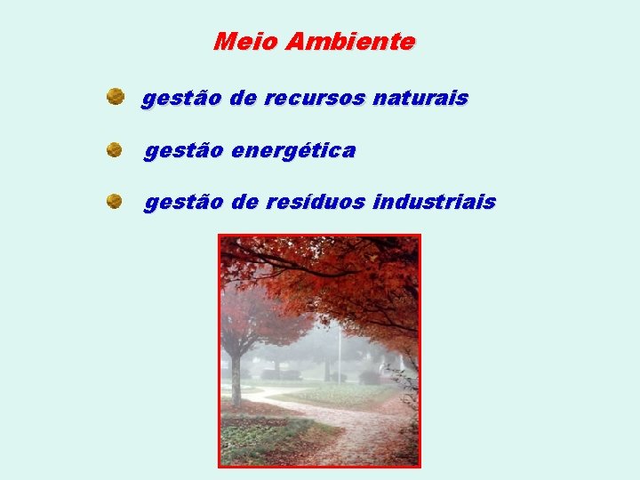 Meio Ambiente gestão de recursos naturais gestão energética gestão de resíduos industriais 