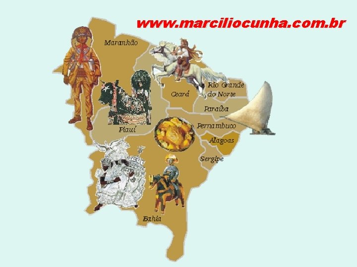 www. marciliocunha. com. br 