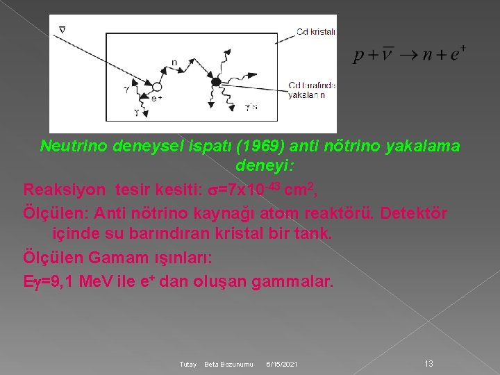Neutrino deneysel ispatı (1969) anti nötrino yakalama deneyi: Reaksiyon tesir kesiti: =7 x 10