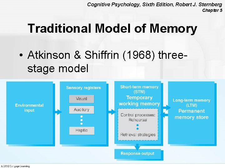 Cognitive Psychology, Sixth Edition, Robert J. Sternberg Chapter 5 Traditional Model of Memory •