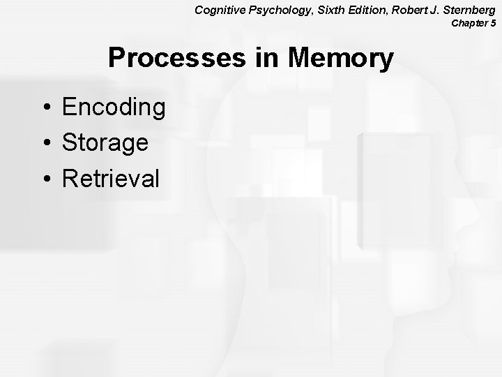Cognitive Psychology, Sixth Edition, Robert J. Sternberg Chapter 5 Processes in Memory • Encoding