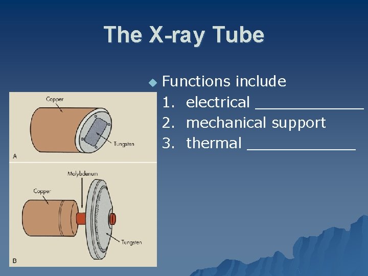The X-ray Tube u Functions include 1. electrical ______ 2. mechanical support 3. thermal
