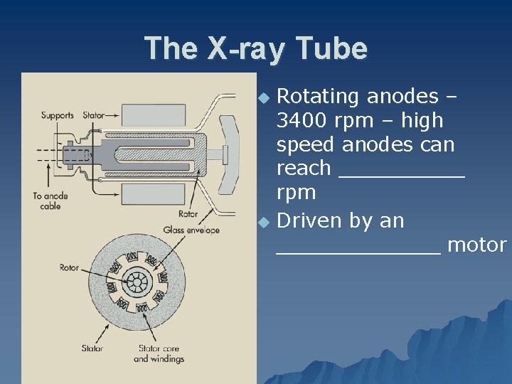The X-ray Tube Rotating anodes – 3400 rpm – high speed anodes can reach