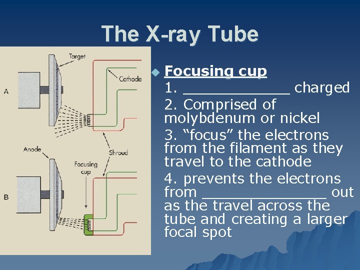 The X-ray Tube u Focusing cup 1. ______ charged 2. Comprised of molybdenum or