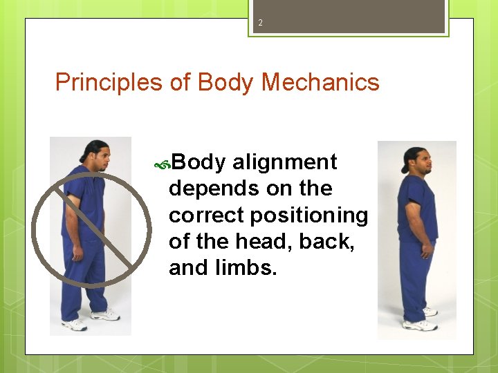 2 Principles of Body Mechanics Body alignment depends on the correct positioning of the