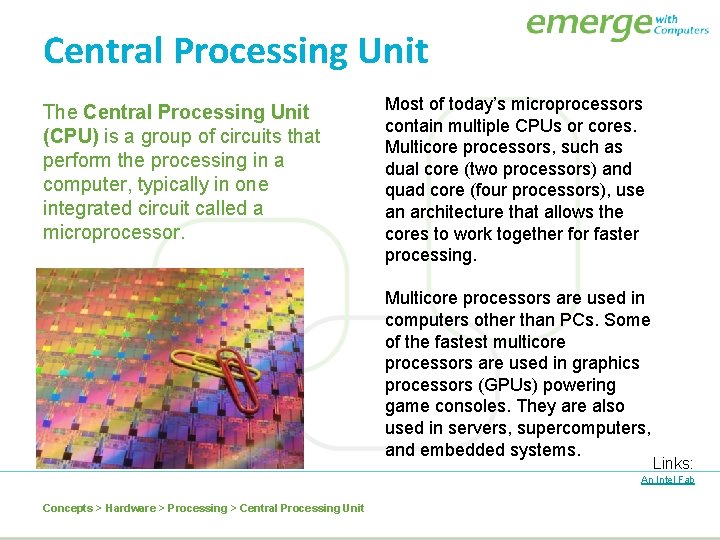 Central Processing Unit The Central Processing Unit (CPU) is a group of circuits that